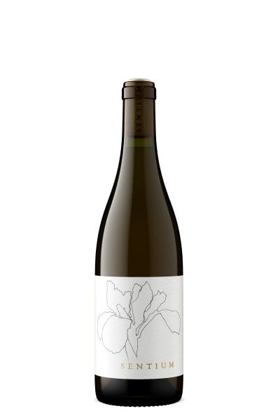 Sentium 2023 Sauvignon Blanc, Napa Valley, Mendocino