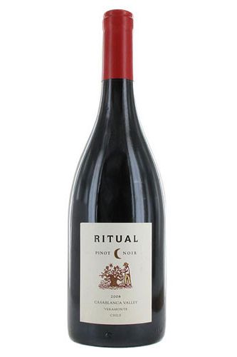 Ritual 2020 Pinot Noir, Casablanca Valley Chile
